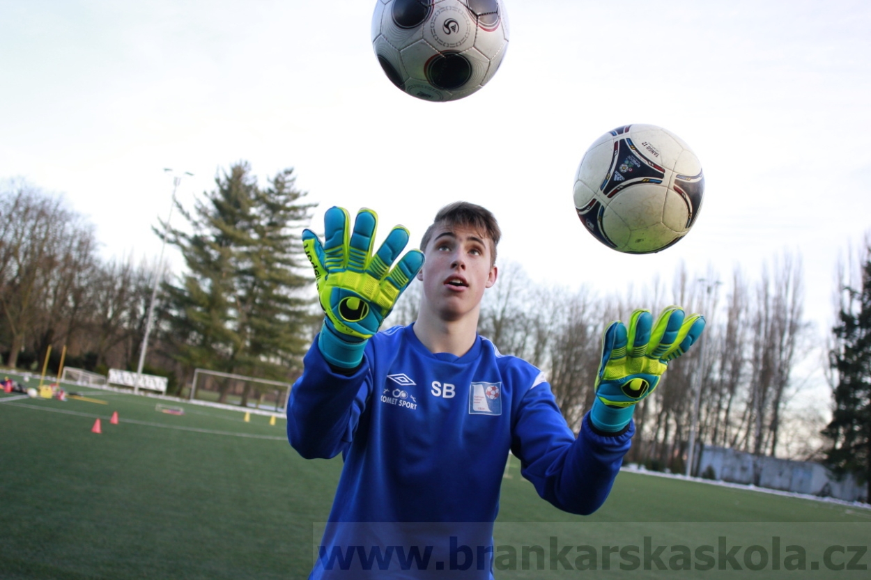 BFŠJCH - Zima 2015 - 29.1.2015