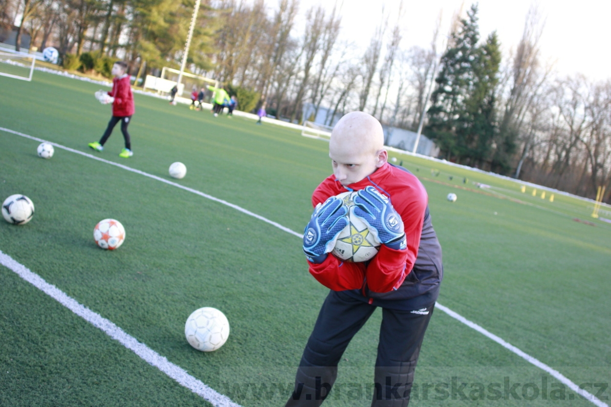 BFŠJCH - Zima 2015 - 29.1.2015