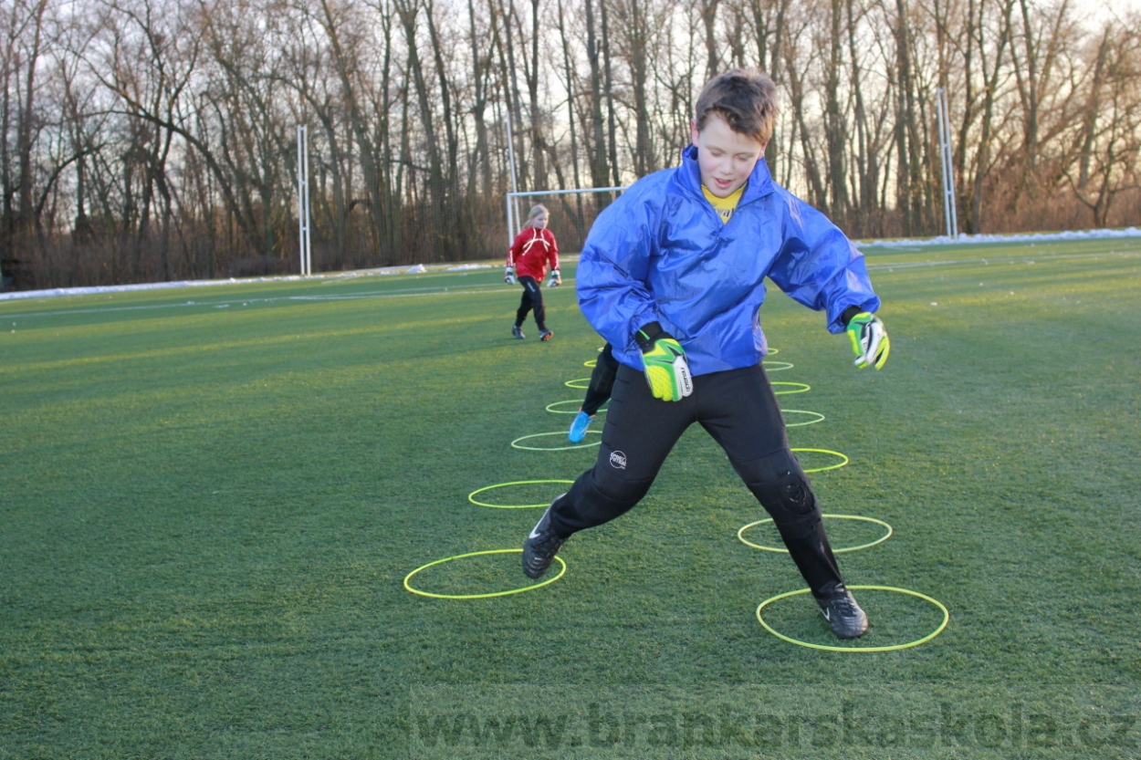 BFŠJCH - Zima 2015 - 29.1.2015