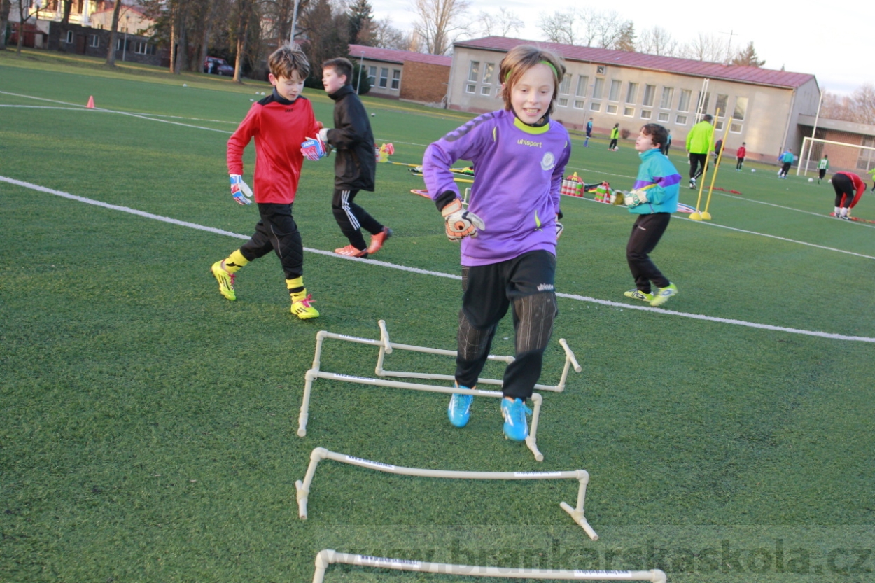 BFŠJCH - Zima 2015 - 29.1.2015