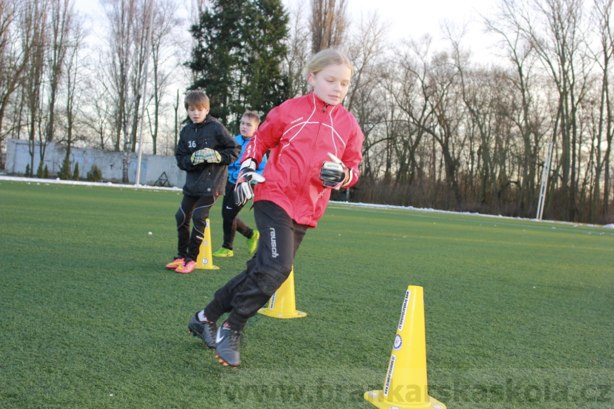 BFŠJCH - Zima 2015 - 29.1.2015