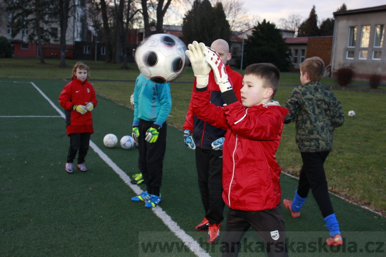 BFŠJCH - Zima 2015 - 29.1.2015