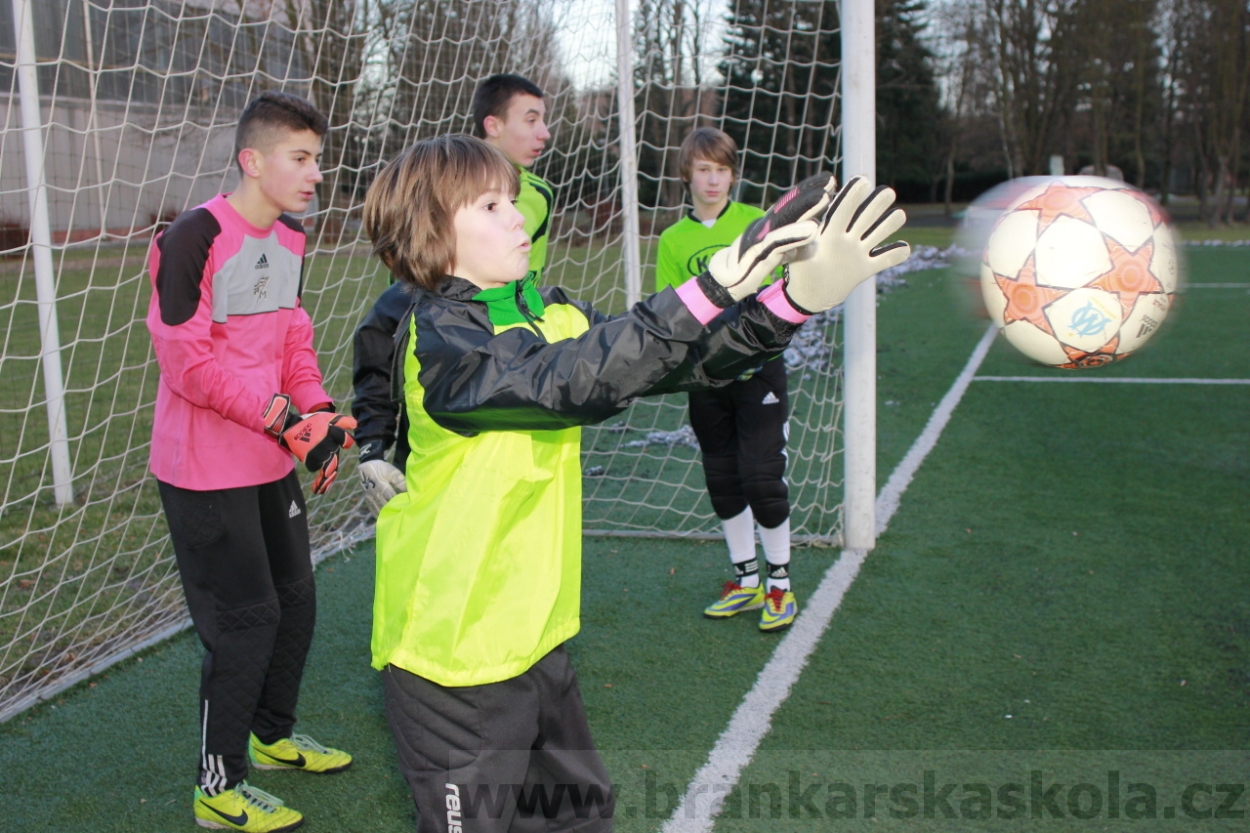 BFŠJCH - Zima 2015 - 29.1.2015