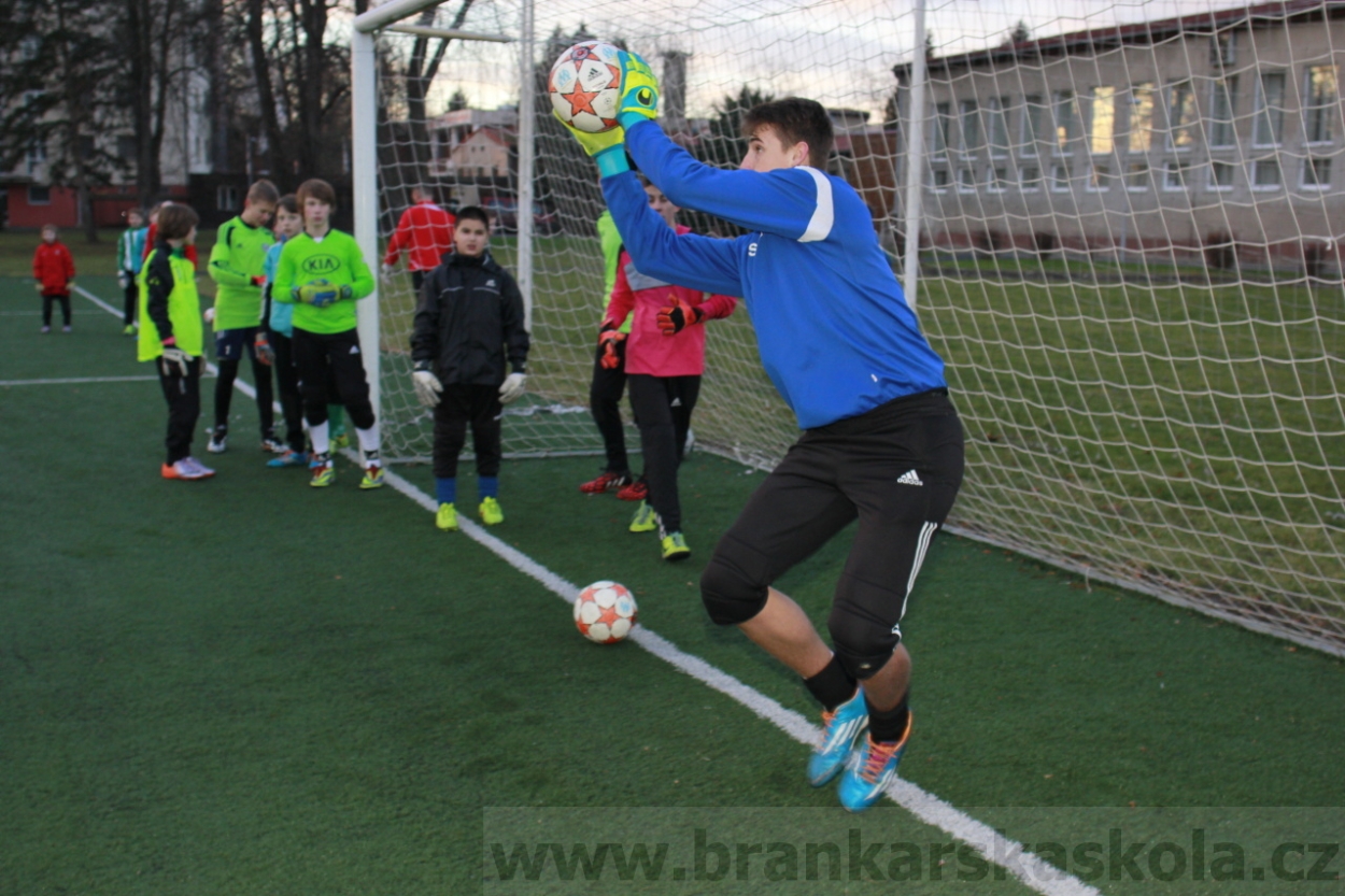BFŠJCH - Zima 2015 - 29.1.2015