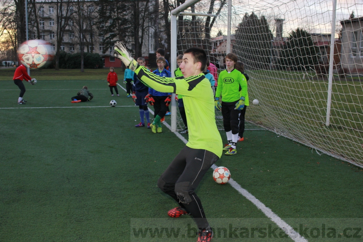 BFŠJCH - Zima 2015 - 29.1.2015