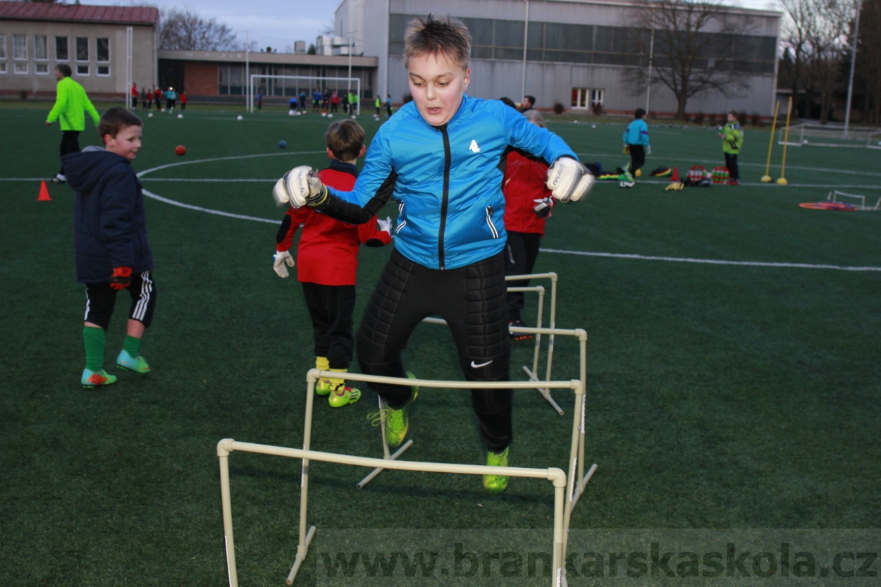 BFŠJCH - Zima 2015 - 29.1.2015