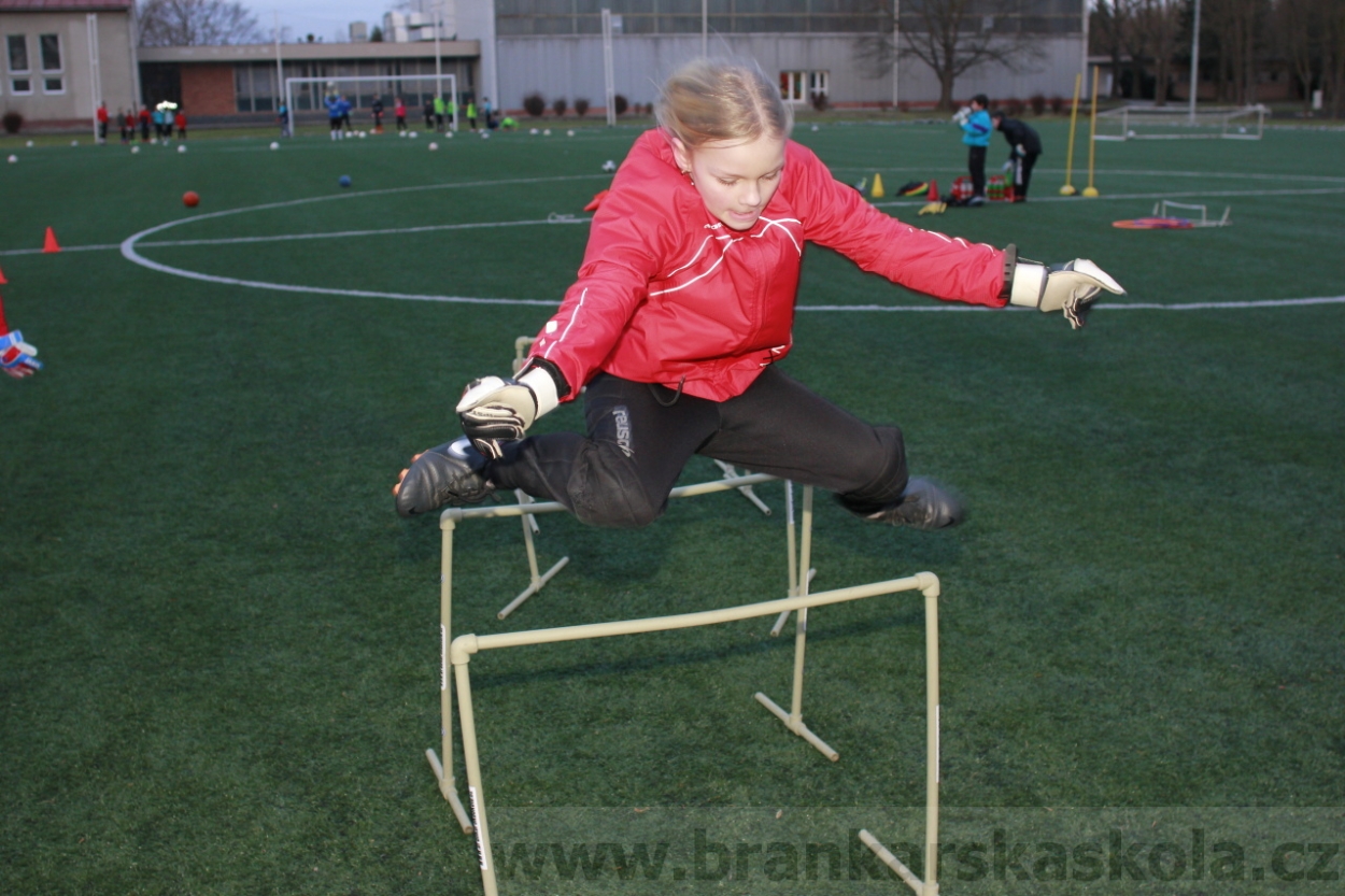 BFŠJCH - Zima 2015 - 29.1.2015