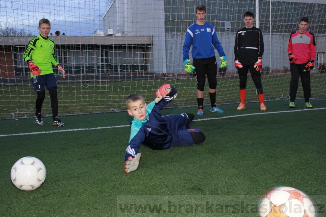 BFŠJCH - Zima 2015 - 29.1.2015