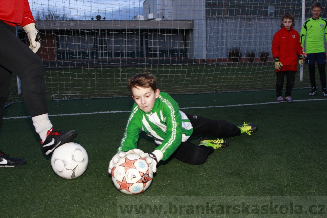 BFŠJCH - Zima 2015 - 29.1.2015