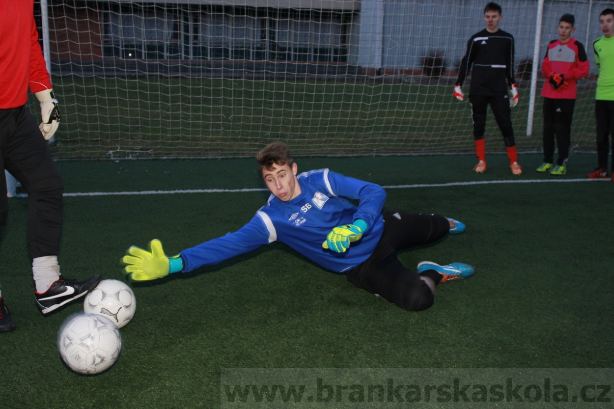 BFŠJCH - Zima 2015 - 29.1.2015