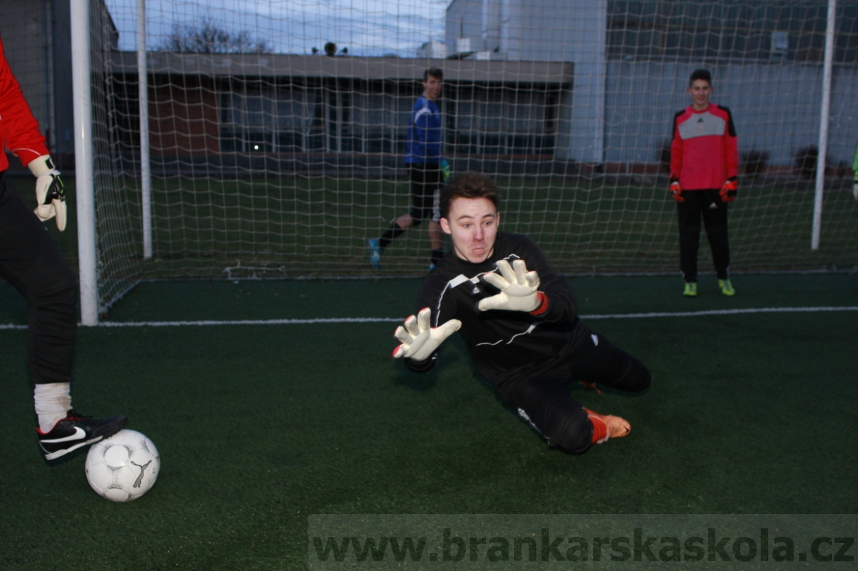 BFŠJCH - Zima 2015 - 29.1.2015