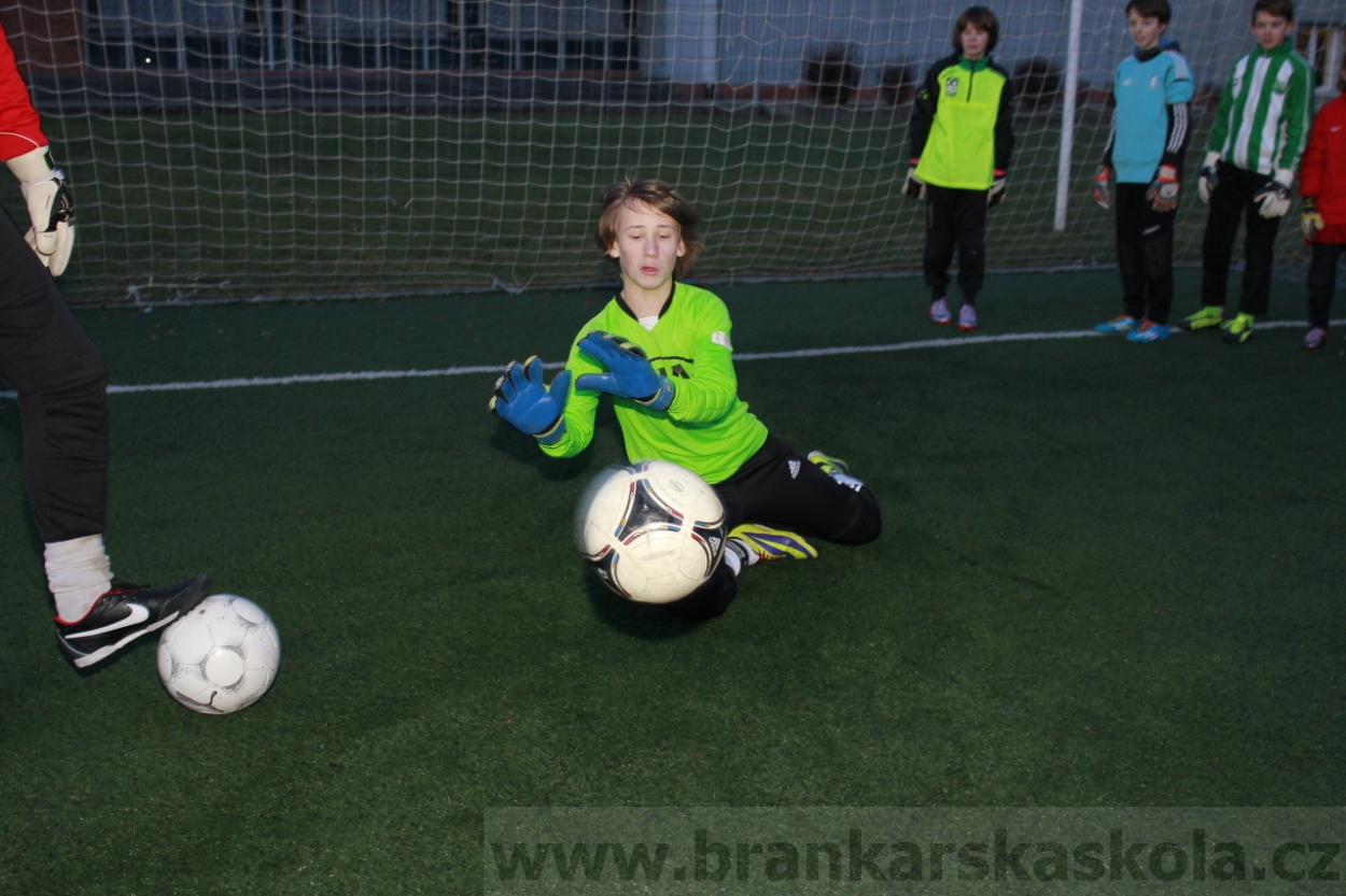 BFŠJCH - Zima 2015 - 29.1.2015