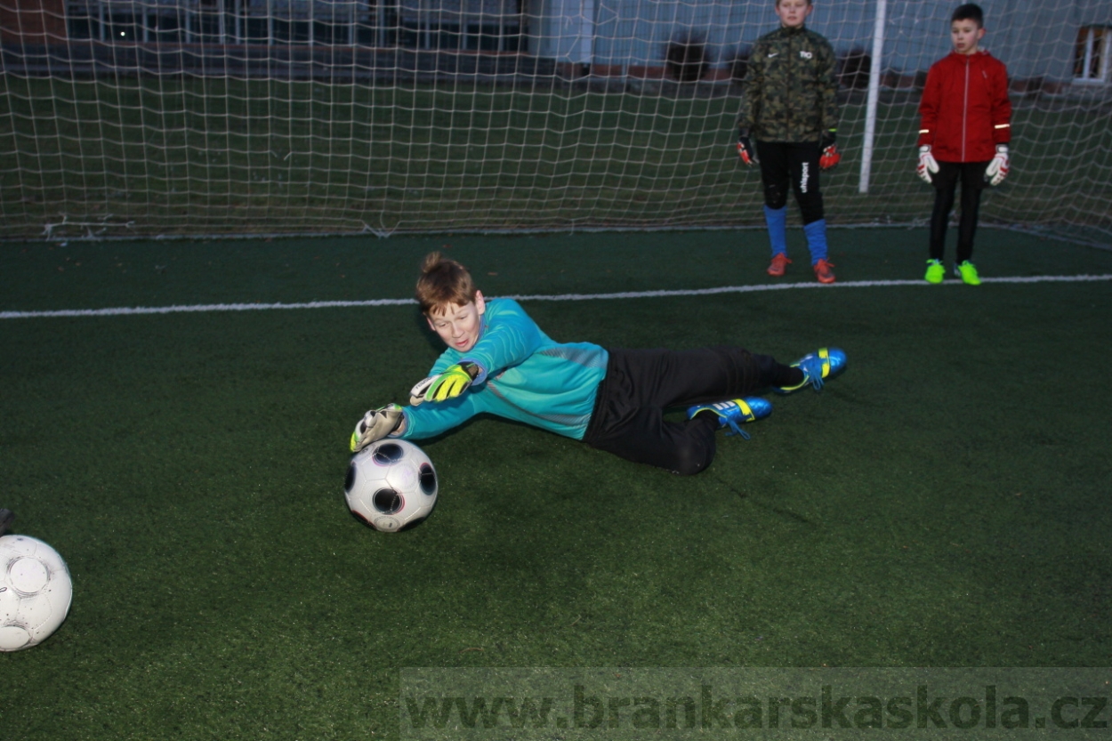 BFŠJCH - Zima 2015 - 29.1.2015