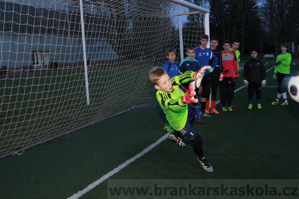 BFŠJCH - Zima 2015 - 29.1.2015