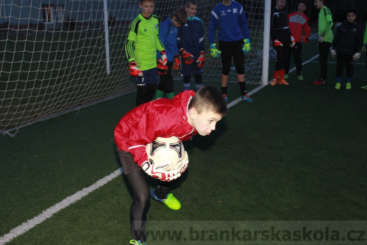 BFŠJCH - Zima 2015 - 29.1.2015