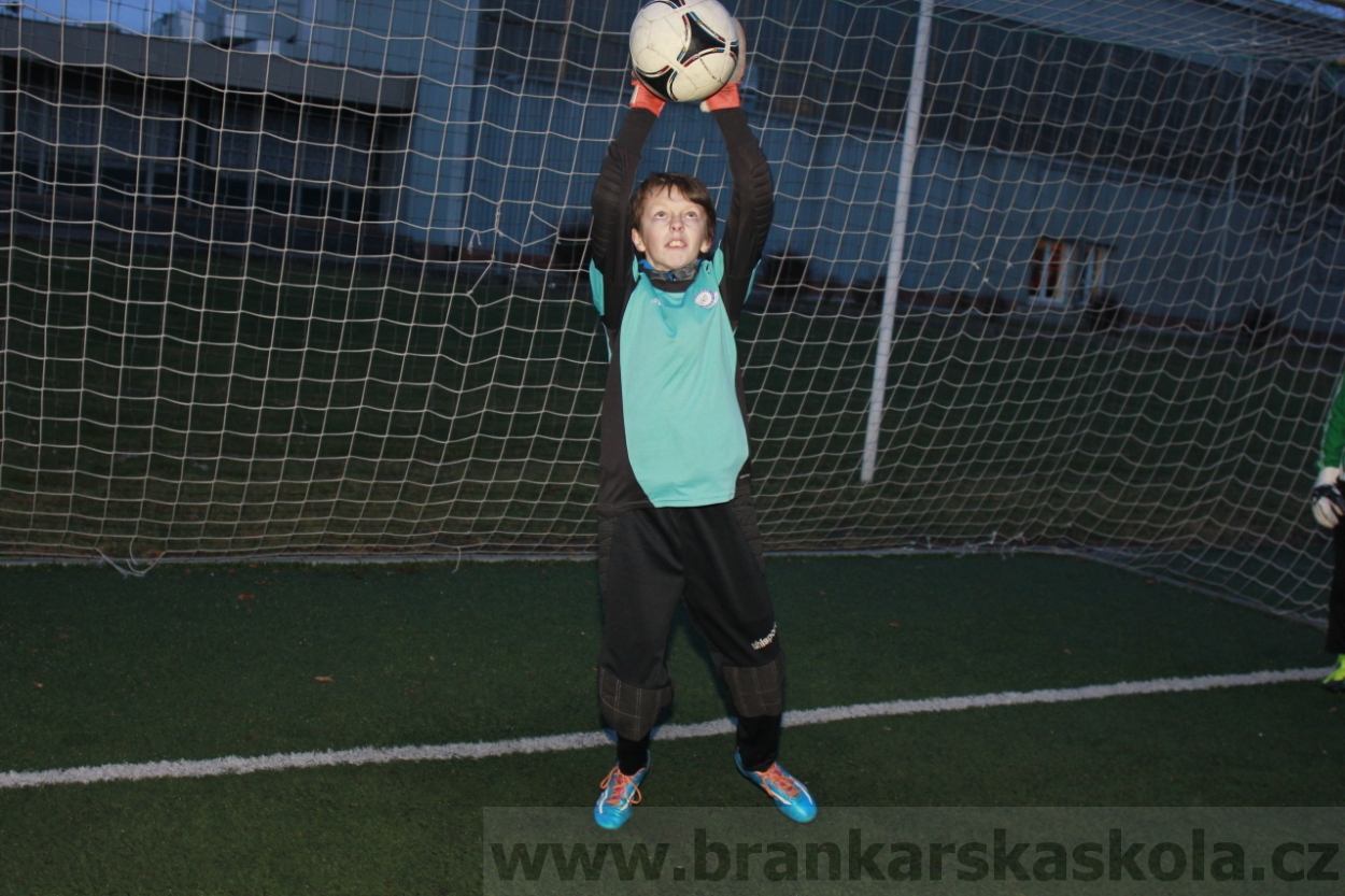 BFŠJCH - Zima 2015 - 29.1.2015