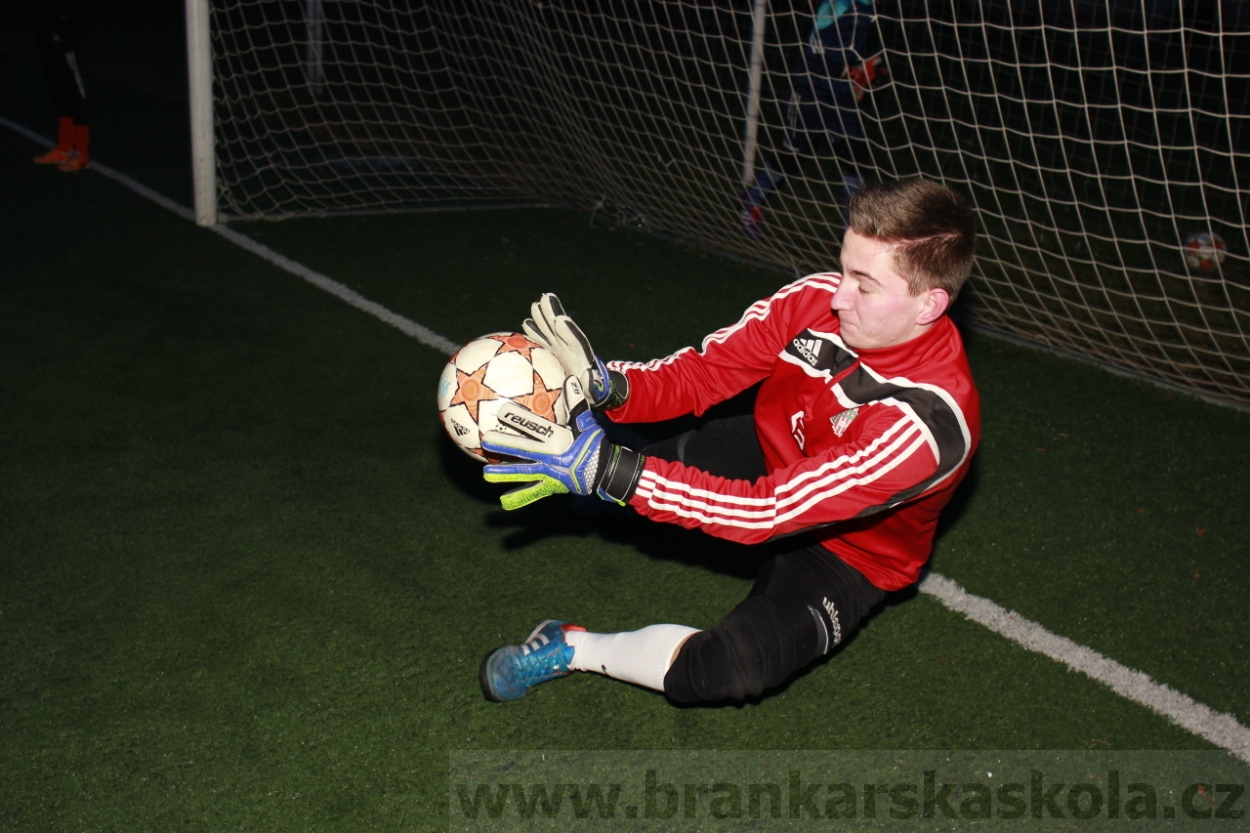 BFŠJCH - Zima 2015 - 29.1.2015