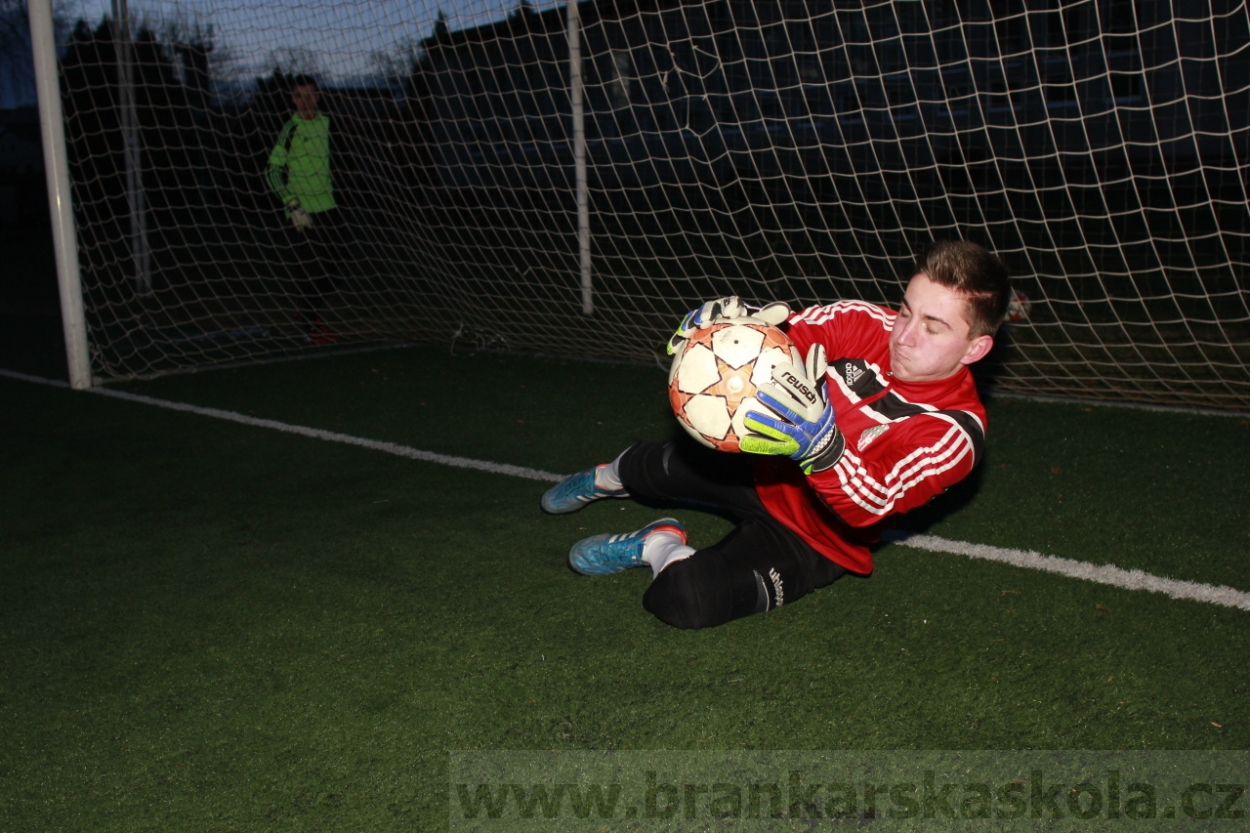 BFŠJCH - Zima 2015 - 29.1.2015