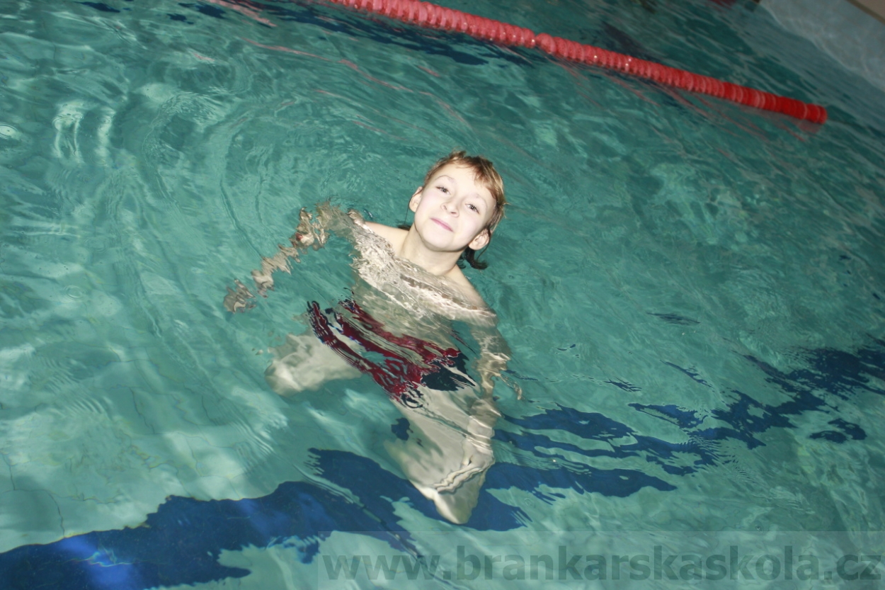 BFŠJCH - Zima 2015 - 29.1.2015