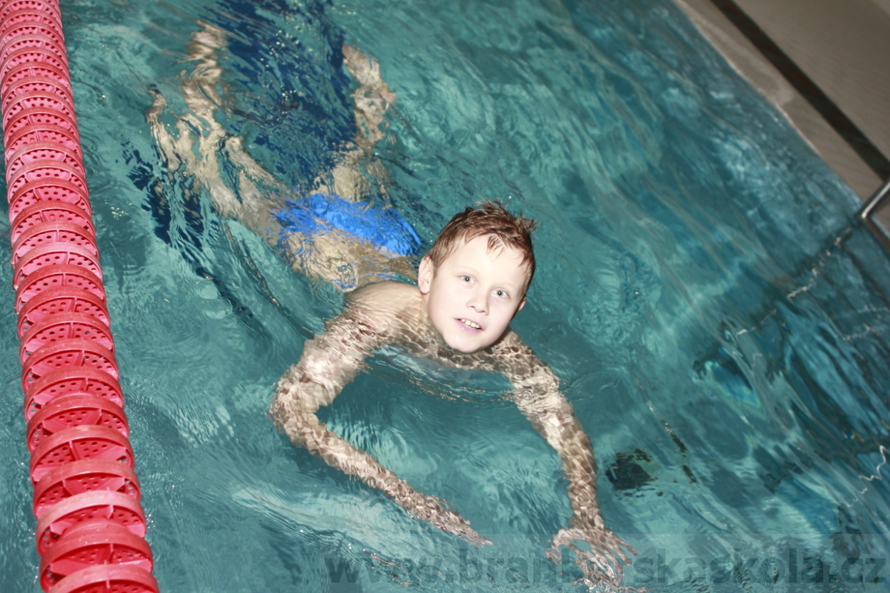 BFŠJCH - Zima 2015 - 29.1.2015