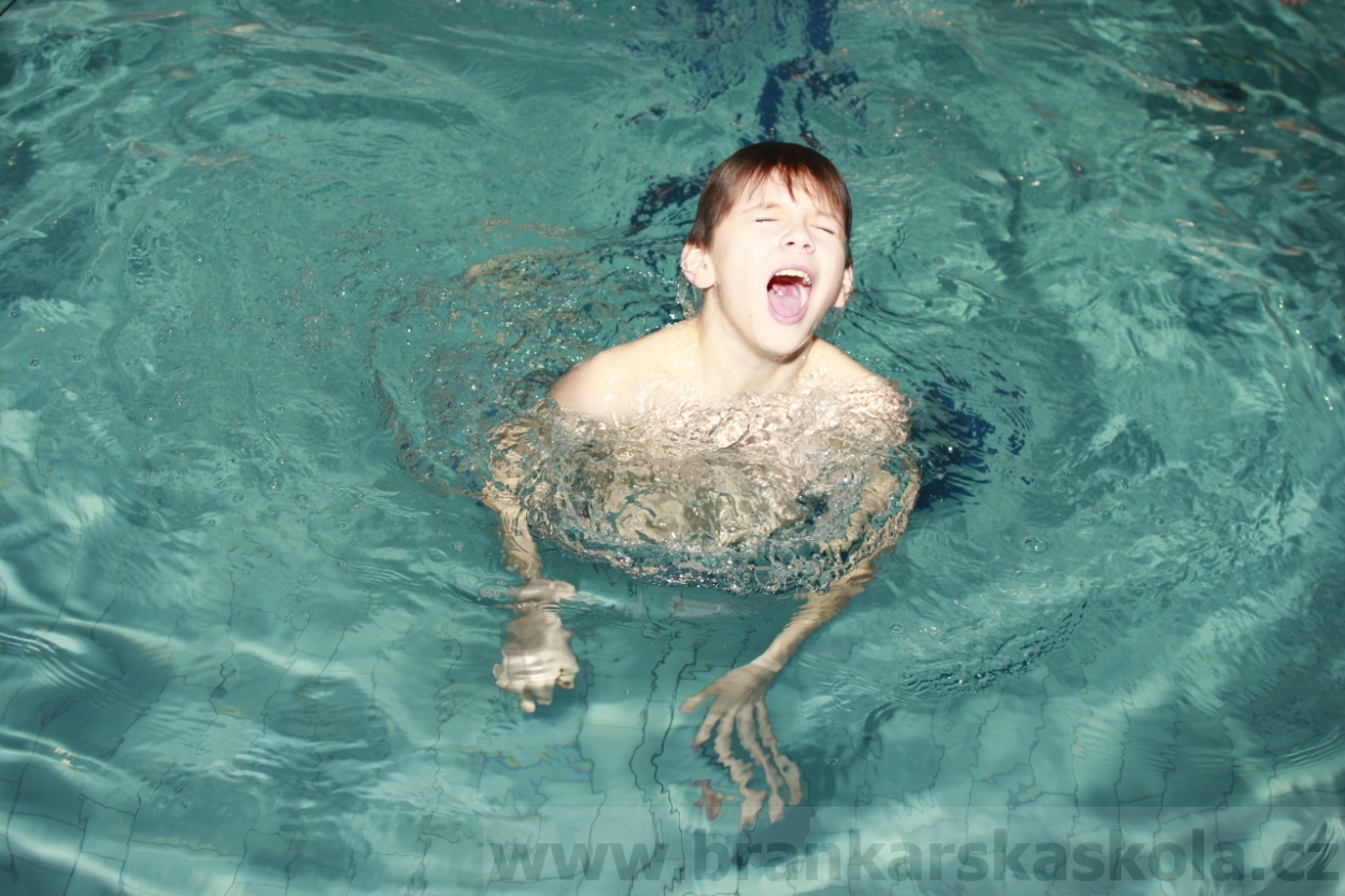 BFŠJCH - Zima 2015 - 29.1.2015