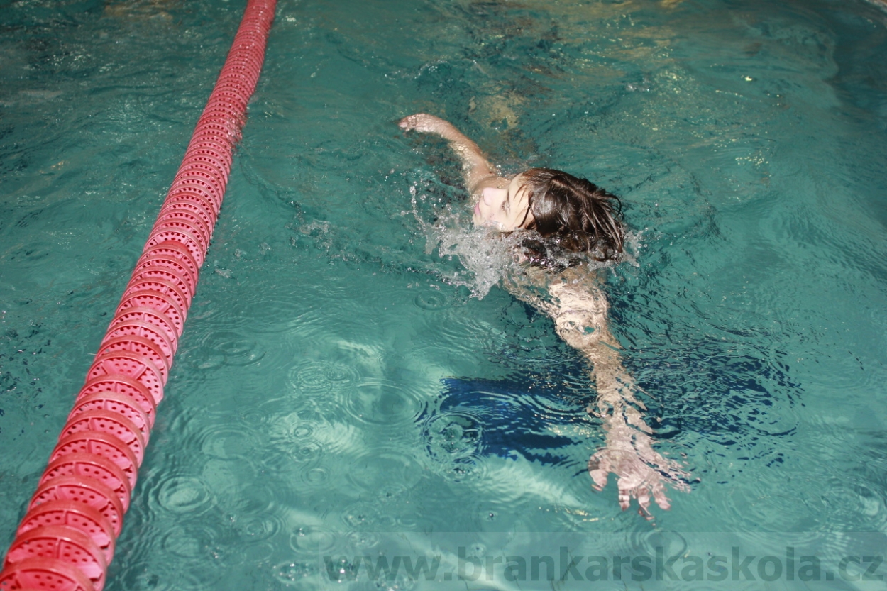 BFŠJCH - Zima 2015 - 29.1.2015