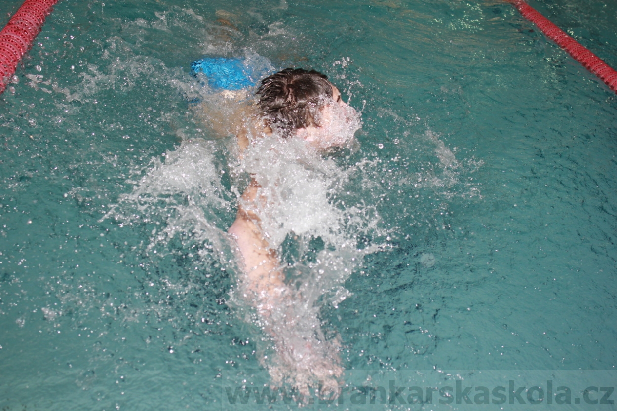 BFŠJCH - Zima 2015 - 29.1.2015