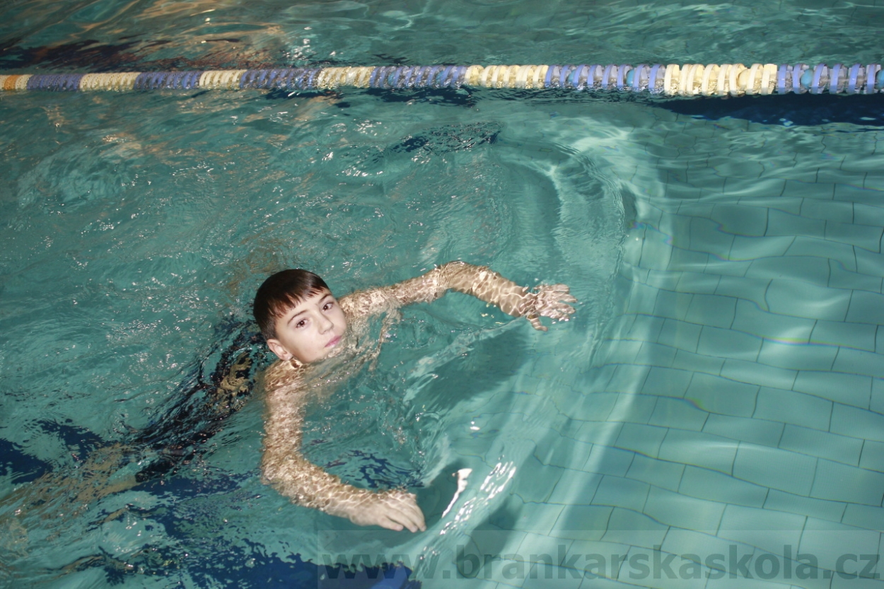 BFŠJCH - Zima 2015 - 29.1.2015