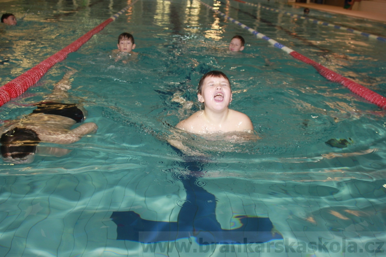 BFŠJCH - Zima 2015 - 29.1.2015