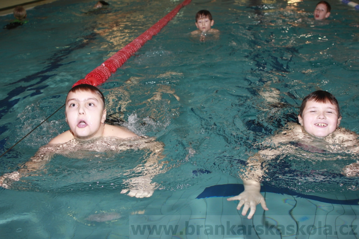 BFŠJCH - Zima 2015 - 29.1.2015