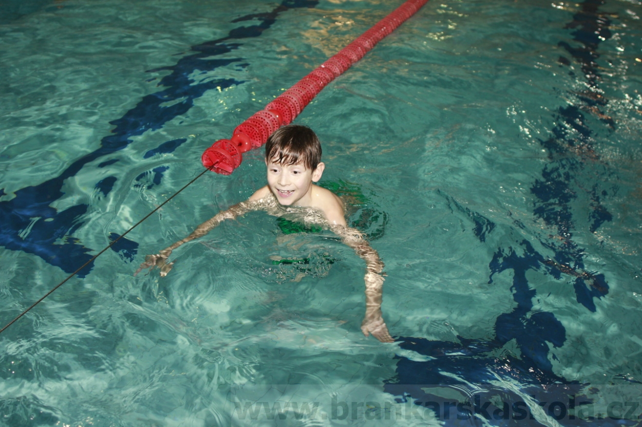 BFŠJCH - Zima 2015 - 29.1.2015