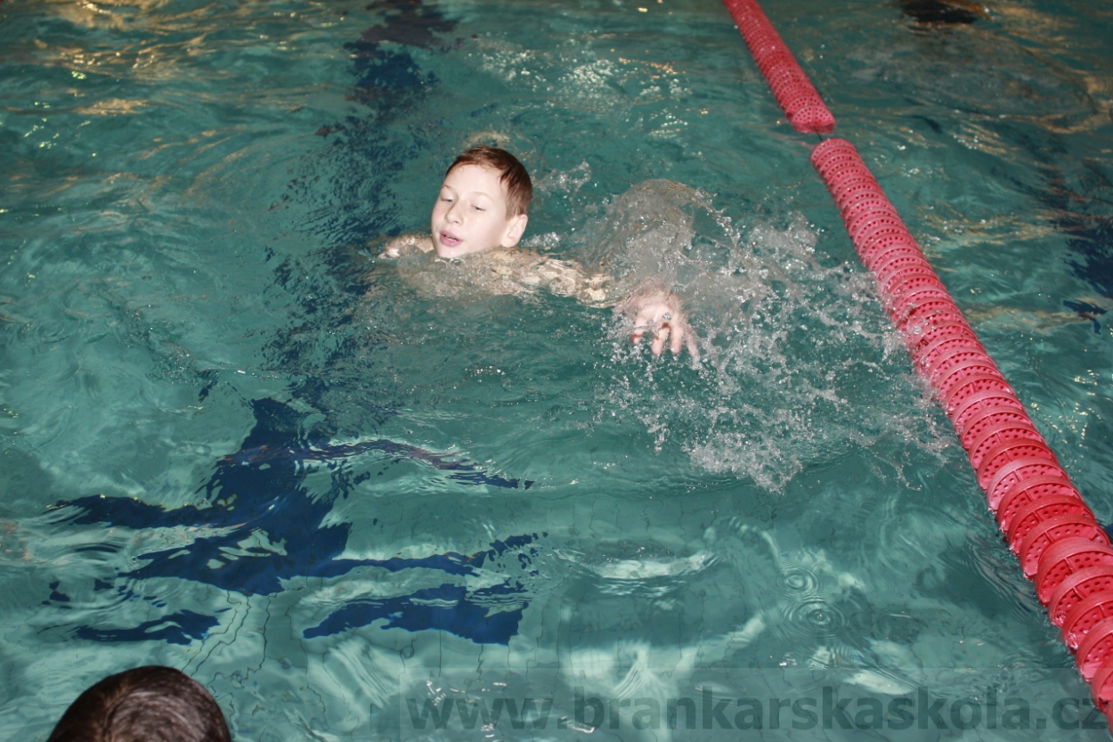 BFŠJCH - Zima 2015 - 29.1.2015