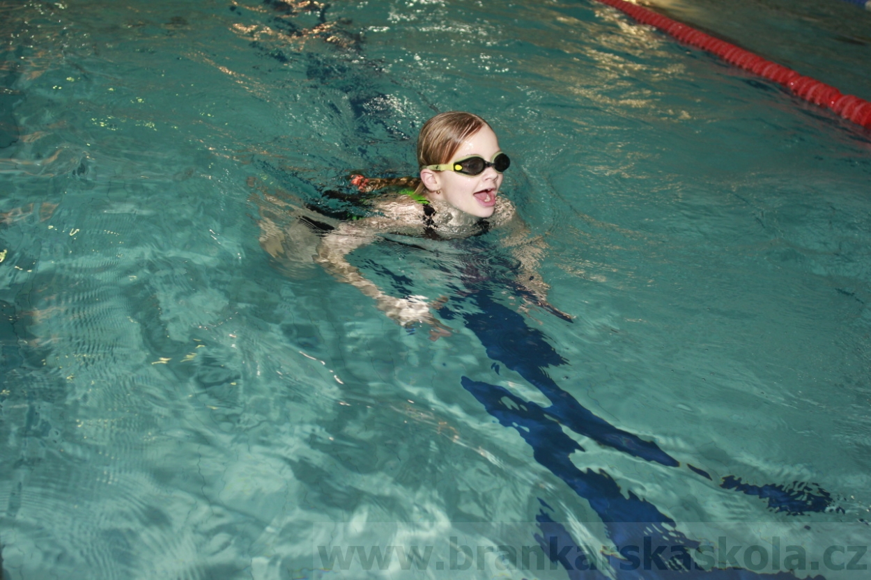 BFŠJCH - Zima 2015 - 29.1.2015