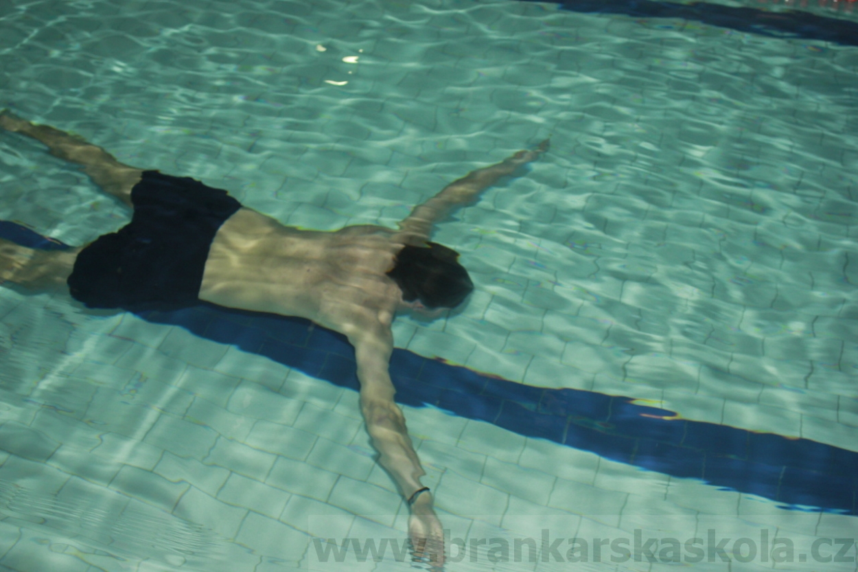 BFŠJCH - Zima 2015 - 29.1.2015