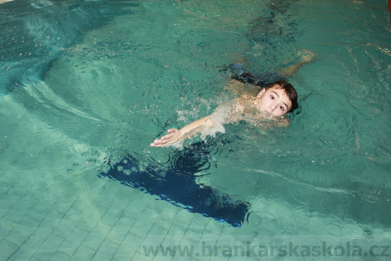 BFŠJCH - Zima 2015 - 29.1.2015