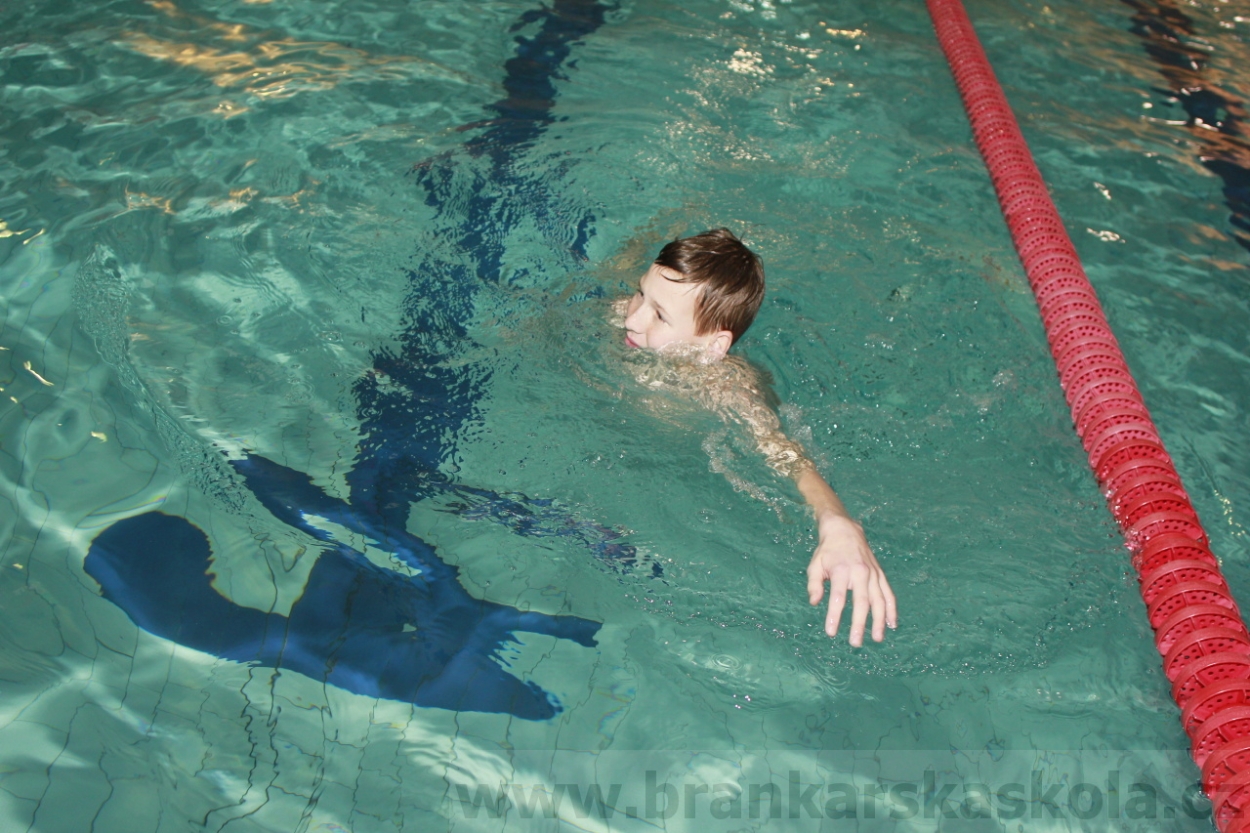 BFŠJCH - Zima 2015 - 29.1.2015