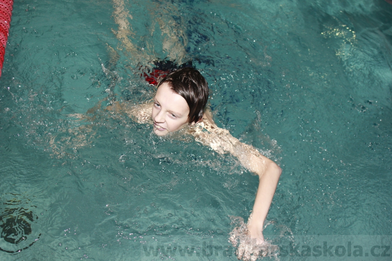 BFŠJCH - Zima 2015 - 29.1.2015