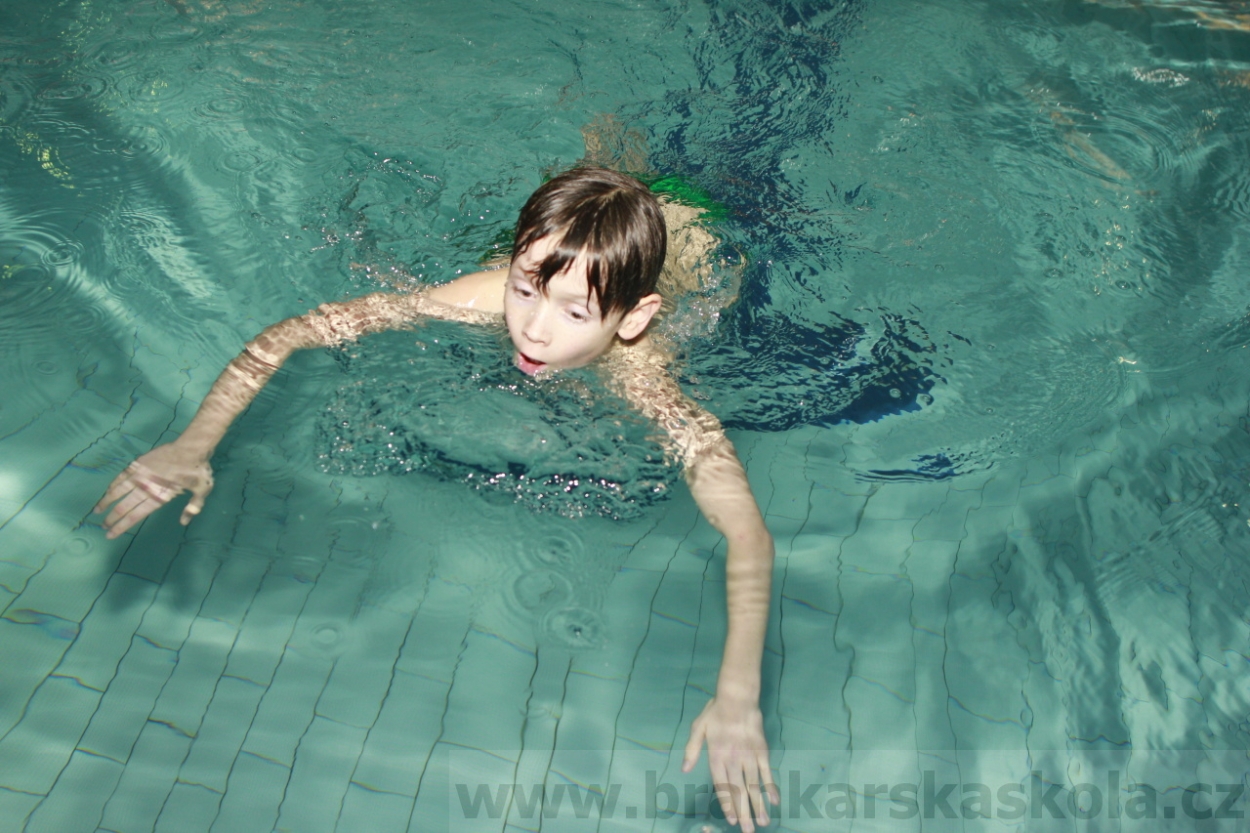 BFŠJCH - Zima 2015 - 29.1.2015