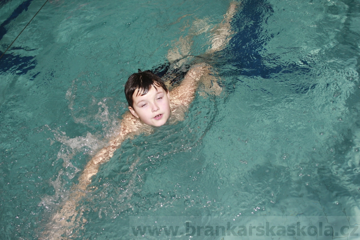 BFŠJCH - Zima 2015 - 29.1.2015