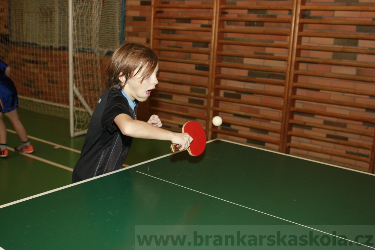 BFŠJCH - Zima 2015 - 29.1.2015