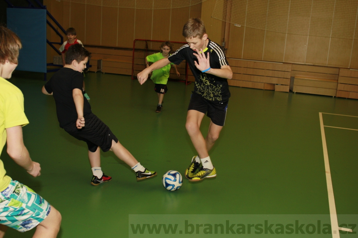 BFŠJCH - Zima 2015 - 29.1.2015