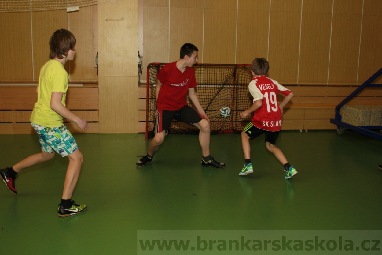 BFŠJCH - Zima 2015 - 29.1.2015