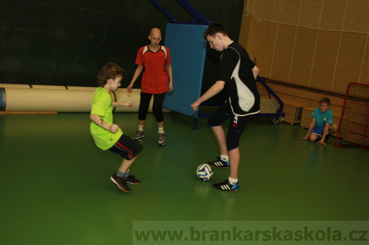 BFŠJCH - Zima 2015 - 29.1.2015