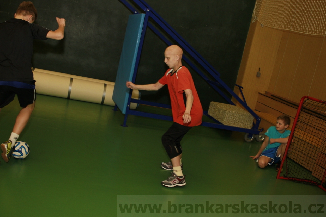 BFŠJCH - Zima 2015 - 29.1.2015