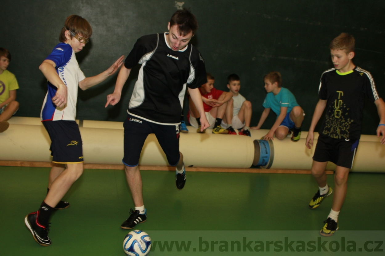 BFŠJCH - Zima 2015 - 29.1.2015