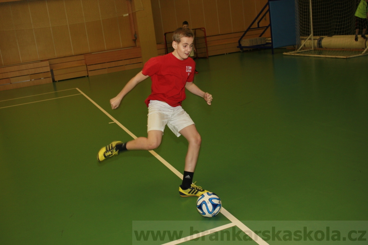 BFŠJCH - Zima 2015 - 29.1.2015