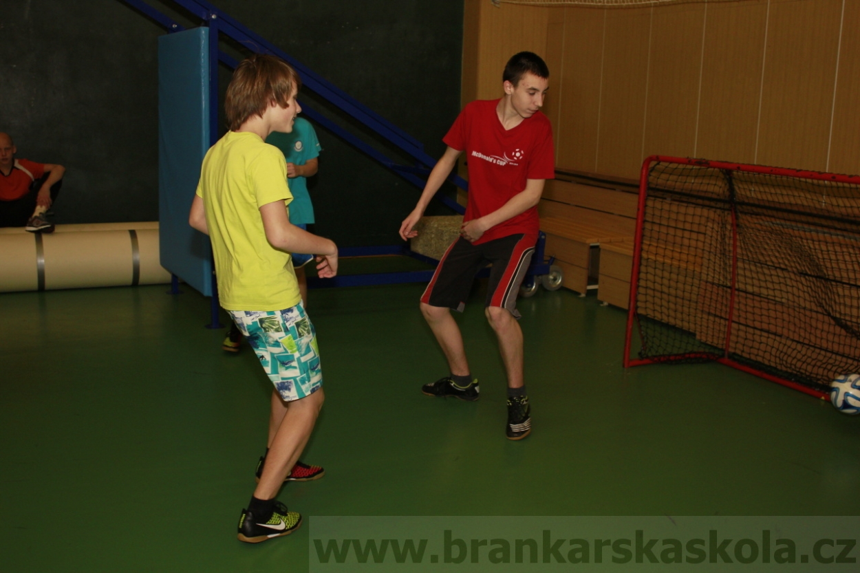 BFŠJCH - Zima 2015 - 29.1.2015