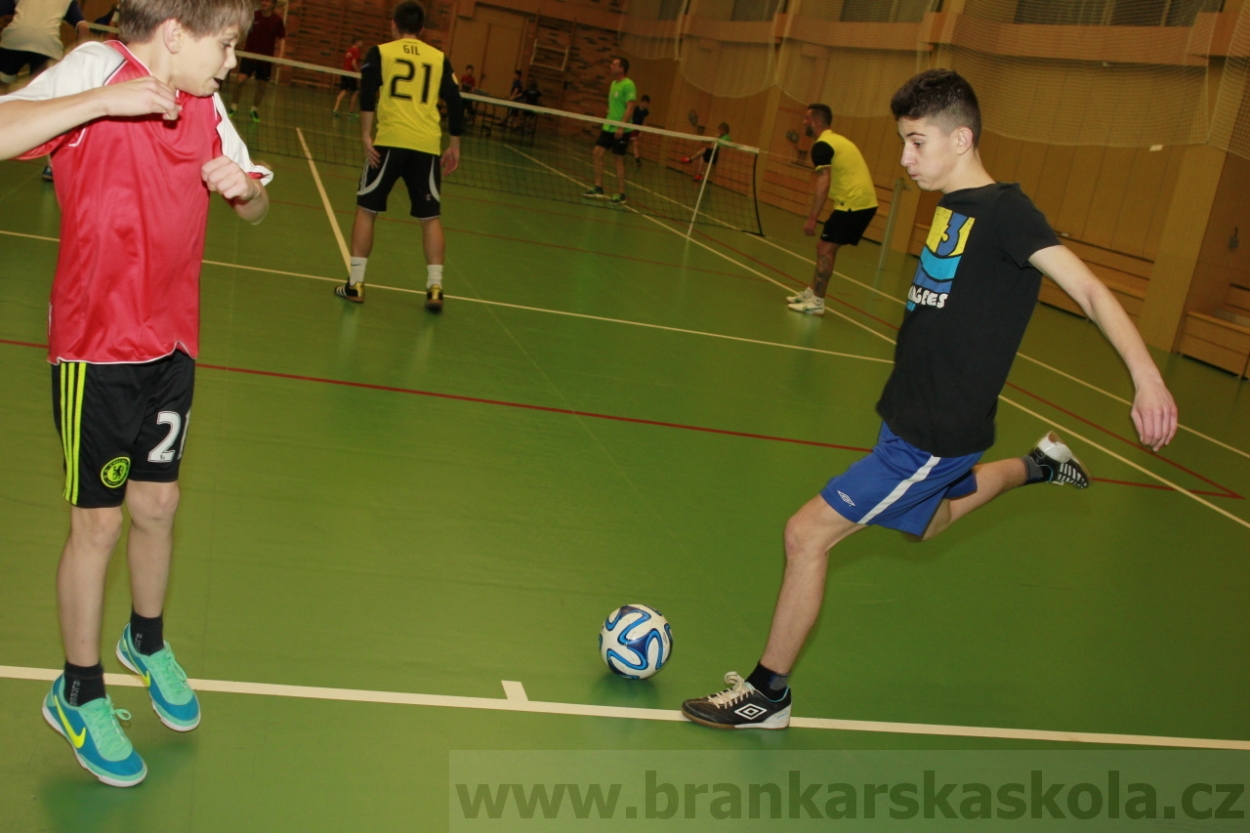 BFŠJCH - Zima 2015 - 29.1.2015