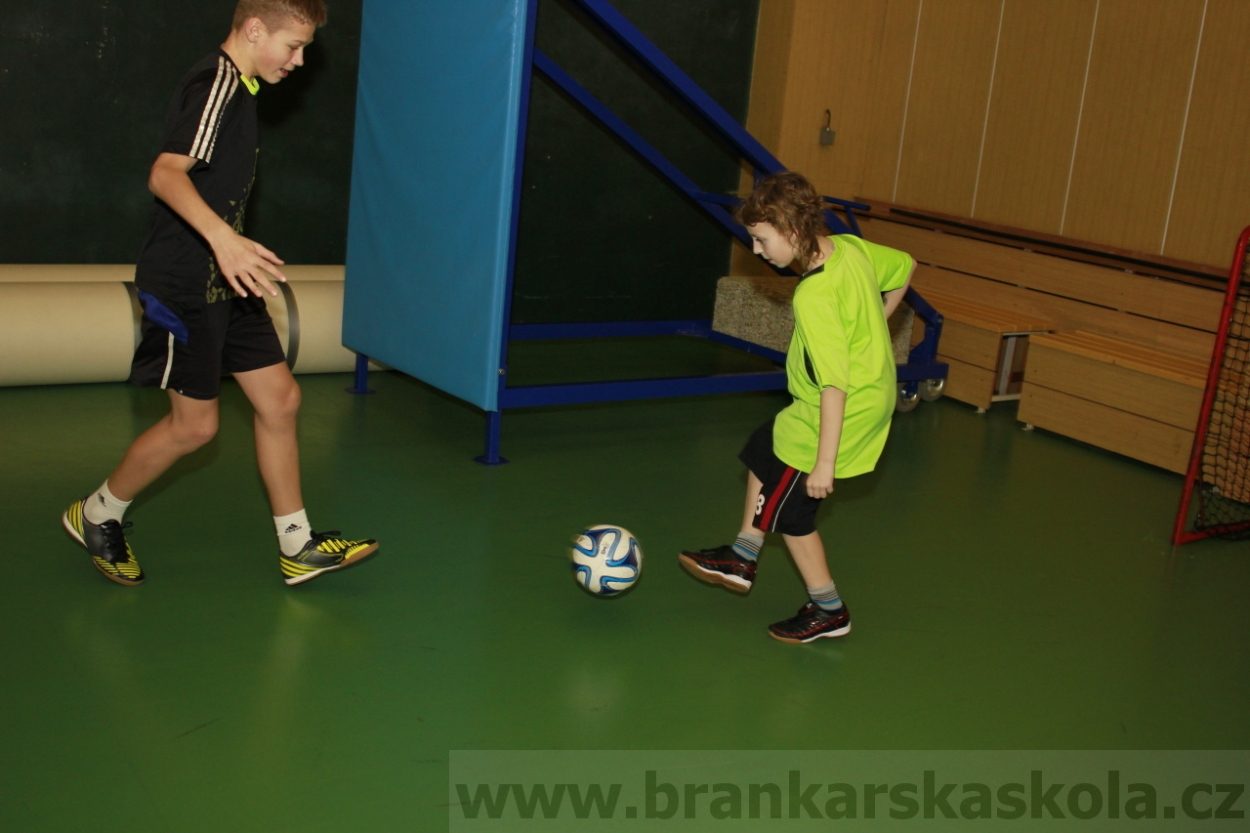 BFŠJCH - Zima 2015 - 29.1.2015