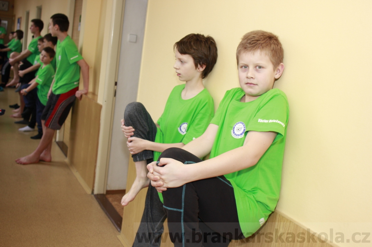 BFŠJCH - Zima 2015 - 30.1.2015